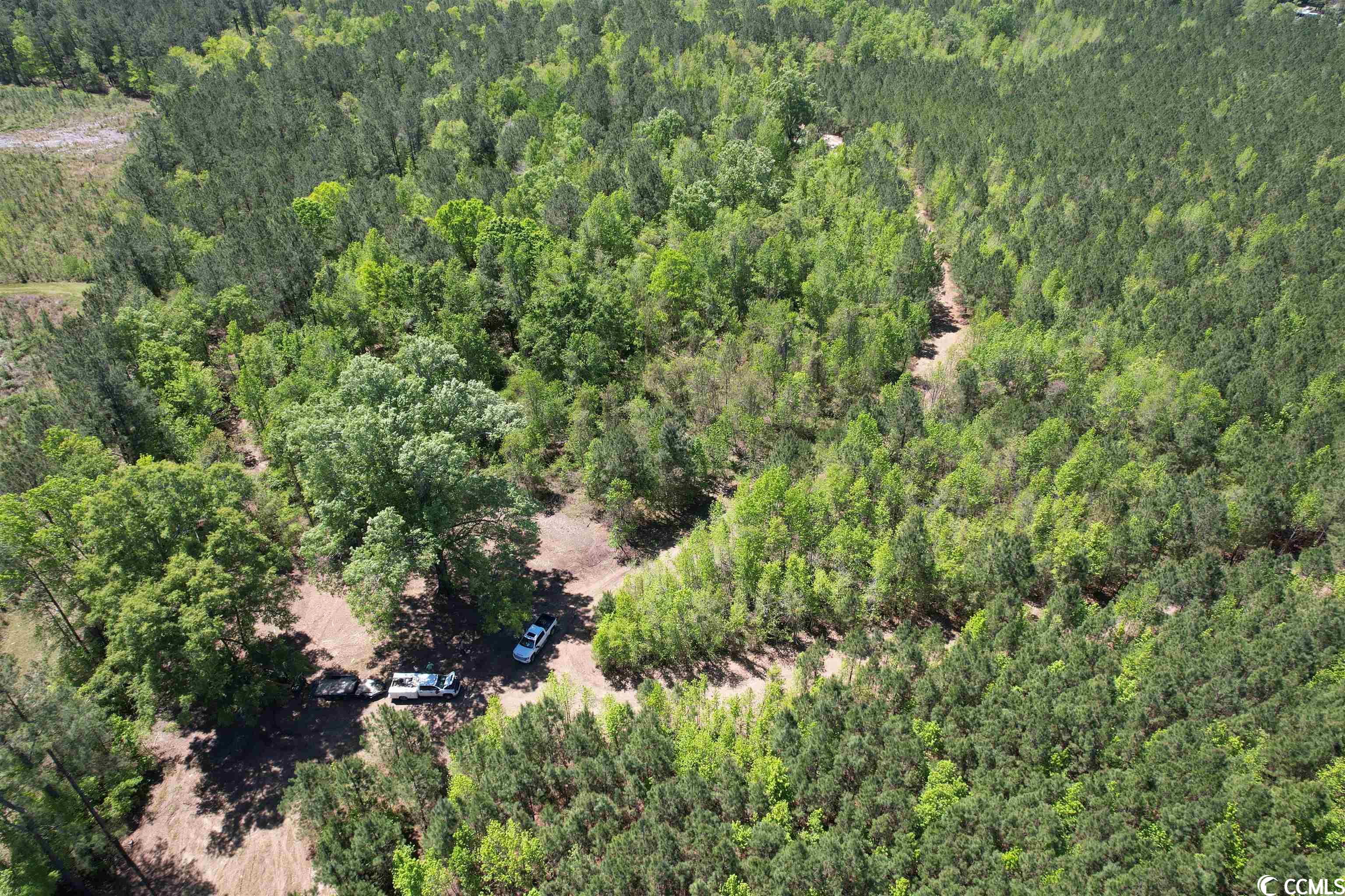 Tbd Santee Road Lane, SC 29564 - Photo 27 of 32 Gallery Image 27