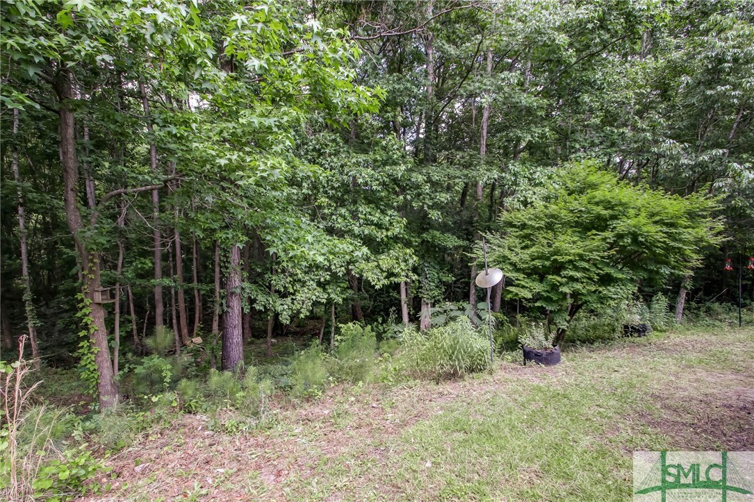 143 Coldbrook Circle Rincon, GA 31326 - Photo 49 of 49