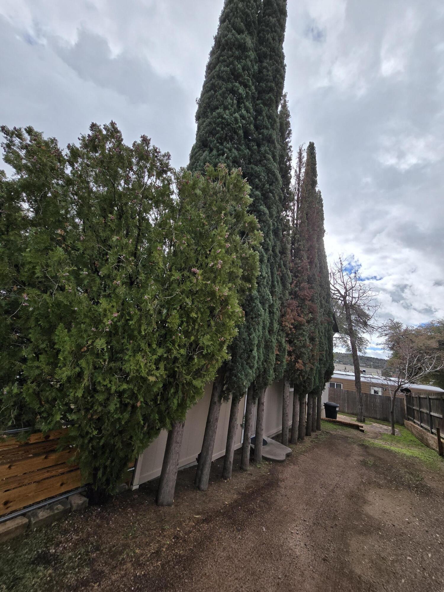 217 West Frontier Street Payson, AZ 85541 - Photo 54 of 71
