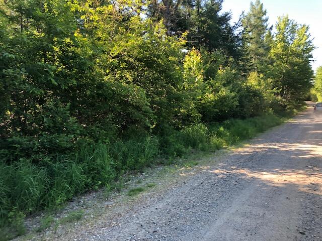0 Canal Road, Unit MAP 3 L36 Machias, ME 04654 - Photo 2 of 7 IMG_2621