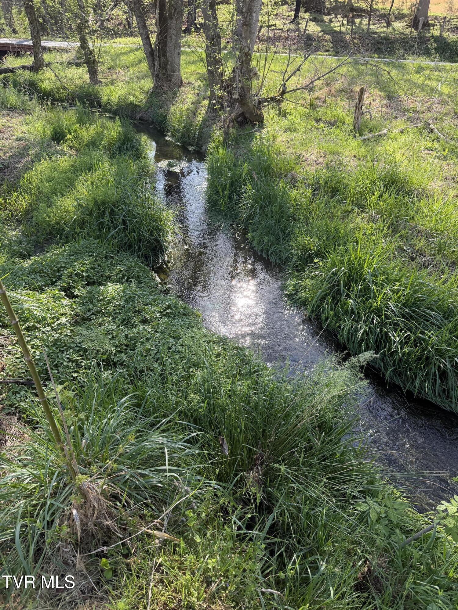 2200 Sunnyside Road Greeneville, TN 37743 - Photo 28 of 36 IMG_7547