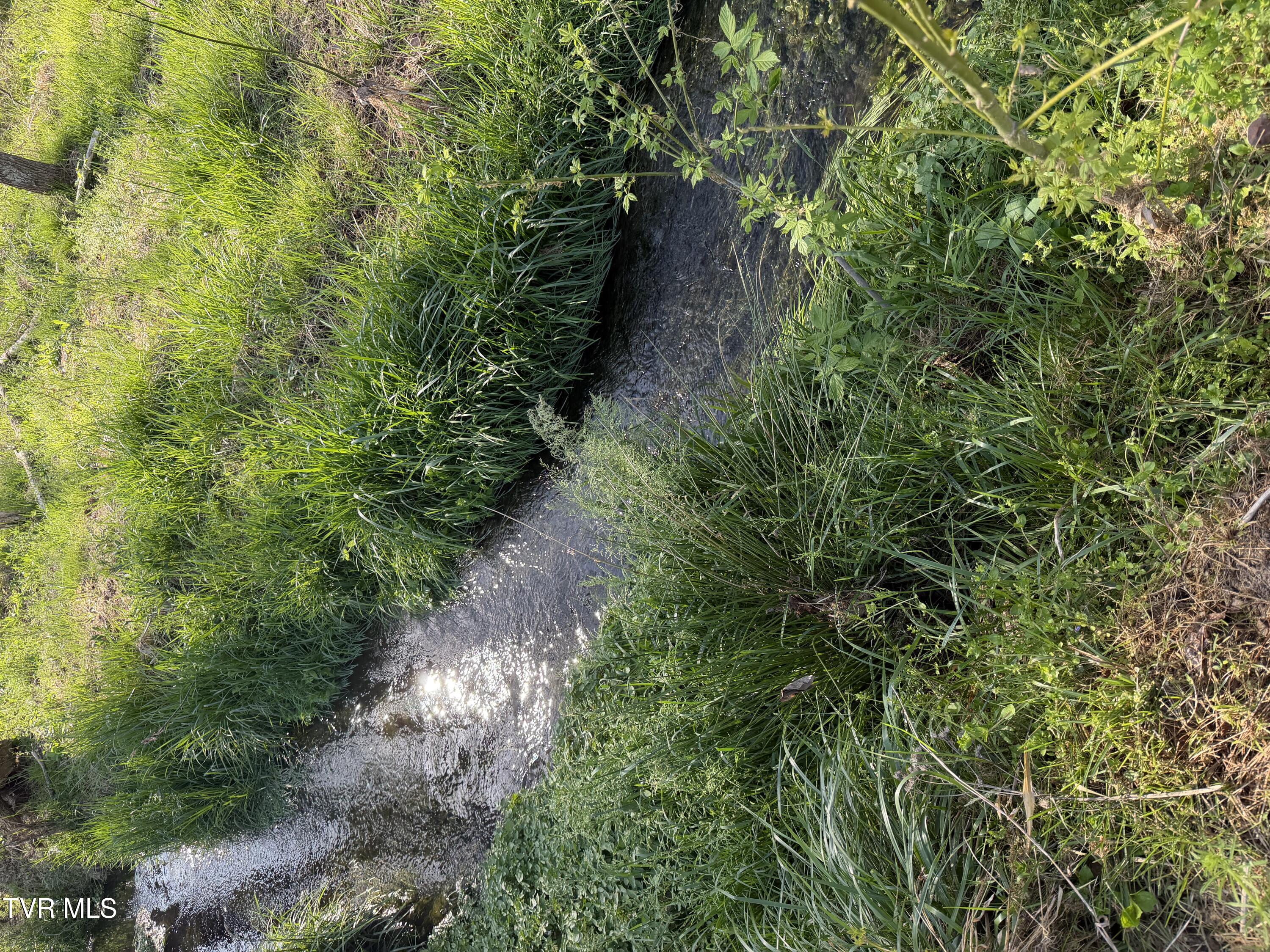 2200 Sunnyside Road Greeneville, TN 37743 - Photo 30 of 36 IMG_7549