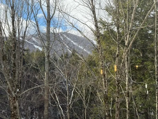 $410,000 | 101 Bridges Circle, Unit BRIDGES 101, Warren, VT 05674