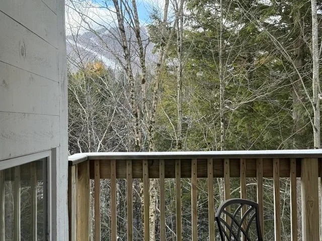 $410,000 | 101 Bridges Circle, Unit BRIDGES 101, Warren, VT 05674