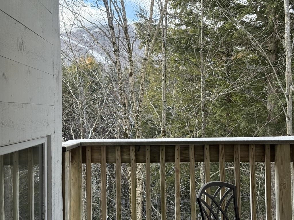 101 Bridges Circle, Unit BRIDGES 101 Warren, VT 05674 - Photo 28 of 51