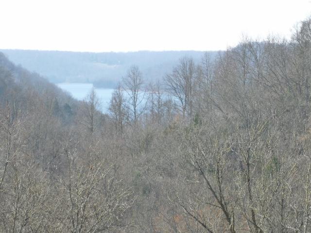 1730 Walden Ridge Road Manchester, TN 37355 - Photo 1 of 11 a view of a dry space with lots of trees