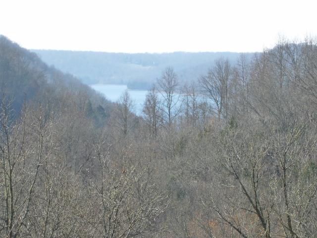 1730 Walden Ridge Road Manchester, TN 37355 - Photo 11 of 11 a view of a dry yard with green space