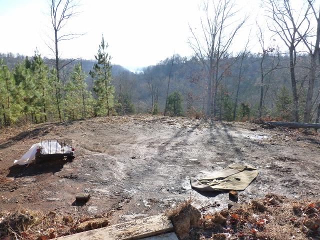 1730 Walden Ridge Road Manchester, TN 37355 - Photo 3 of 11 a view of a backyard with large trees