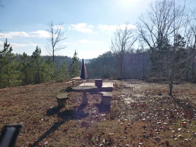 1730 Walden Ridge Road Manchester, TN 37355 - Photo 4 of 11 a view of a backyard of the house