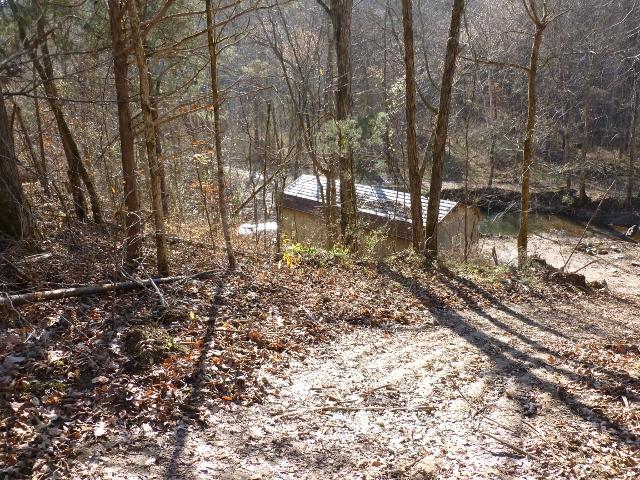1730 Walden Ridge Road Manchester, TN 37355 - Photo 5 of 11 a view of a yard with a tree