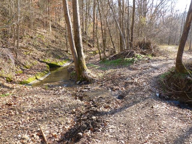 1730 Walden Ridge Road Manchester, TN 37355 - Photo 6 of 11 a backyard of a house with lots of green space