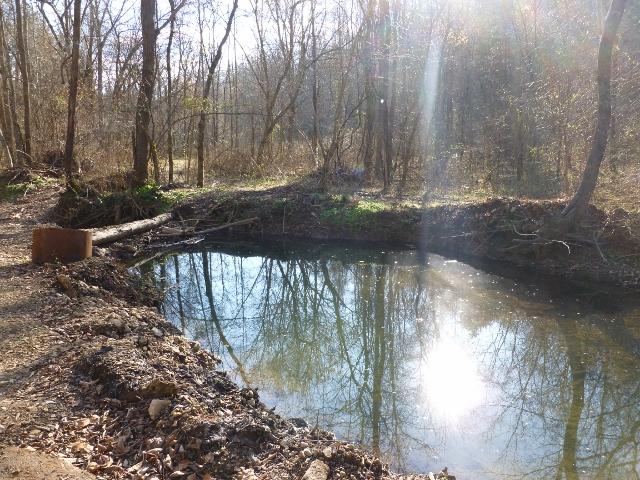 1730 Walden Ridge Road Manchester, TN 37355 - Photo 7 of 11 a view of backyard with green space
