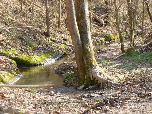 1730 Walden Ridge Road Manchester, TN 37355 - Photo 8 of 11 a backyard of a house with lots of green space