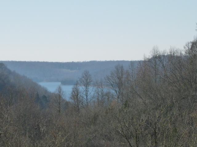 1730 Walden Ridge Road Manchester, TN 37355 - Photo 10 of 11 a view of mountain and trees in the background