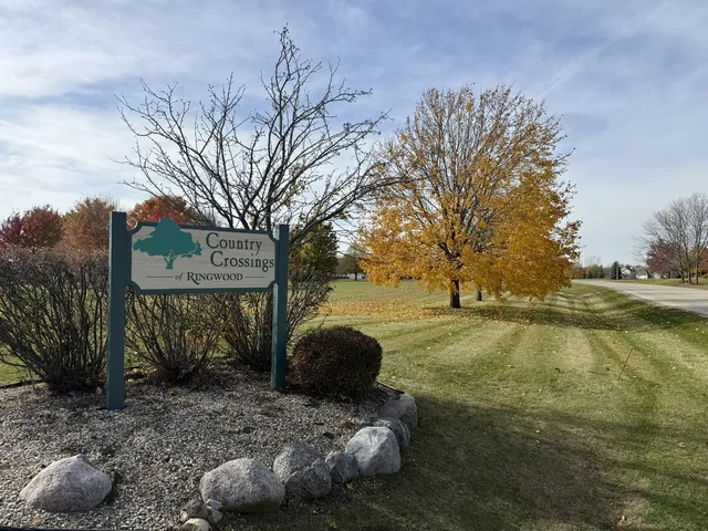 a view of a backyard with large trees