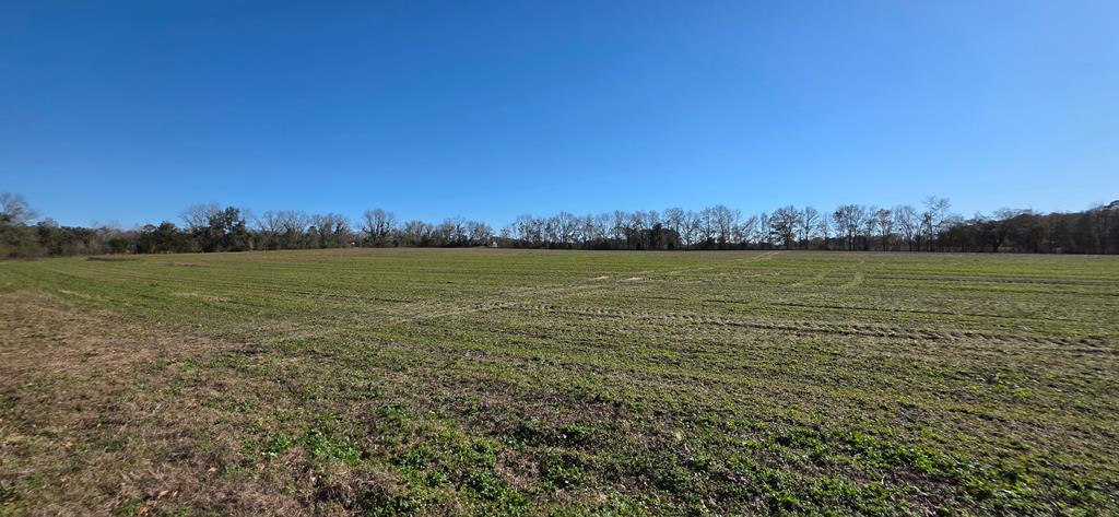 12.7-acres Nobles Road Dothan, AL 36301 - Photo 27 of 41