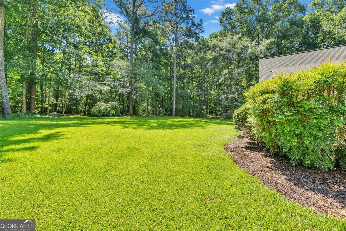 1251 S Trace Rutledge, GA 30663 - Photo 56 of 87