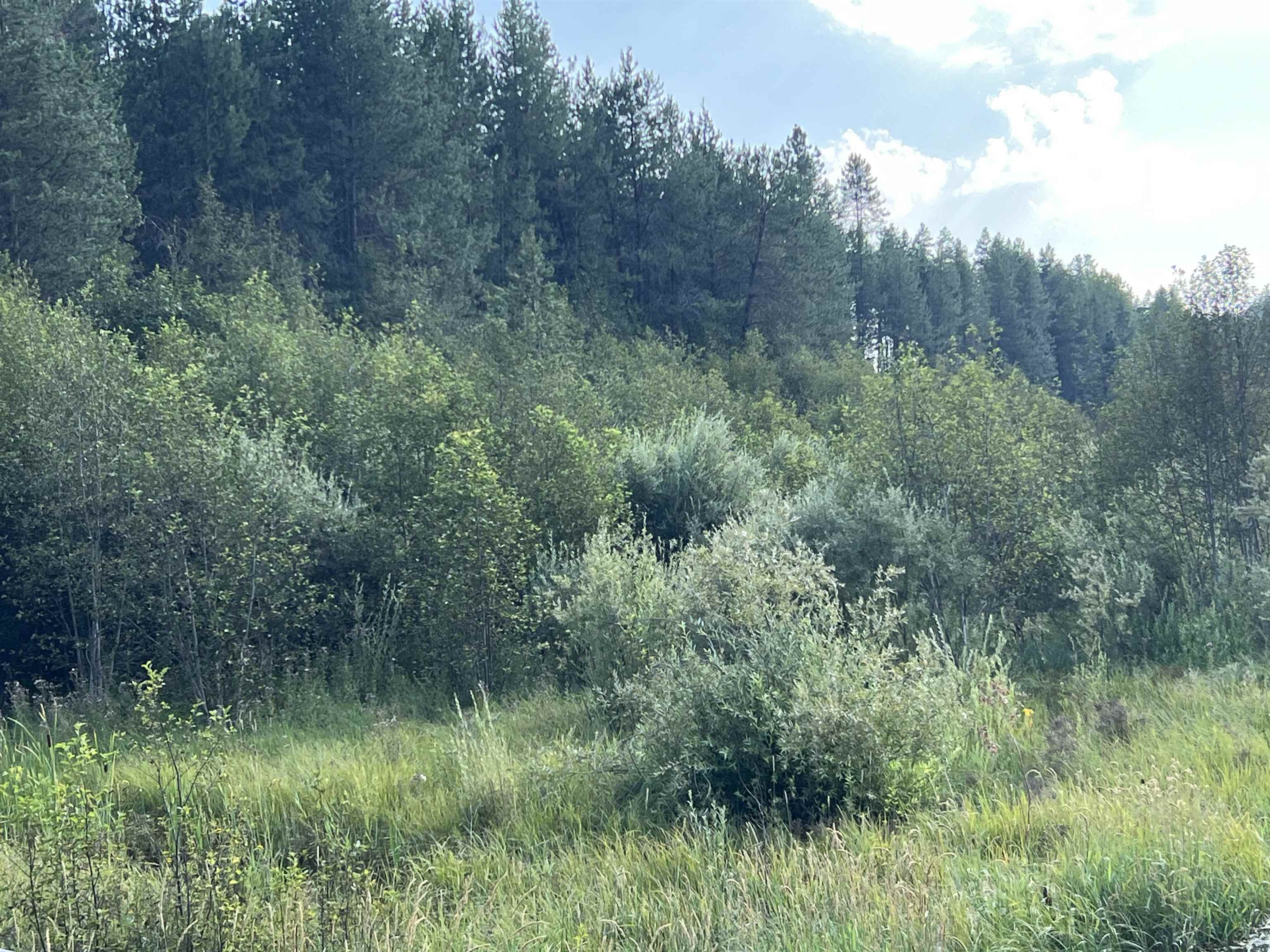 101 Pines Road Newport, WA 99156 - Photo 5 of 8