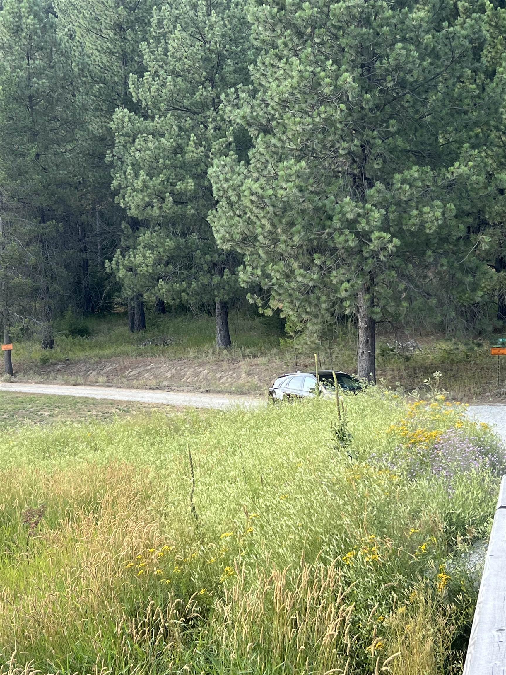 101 Pines Road Newport, WA 99156 - Photo 6 of 8