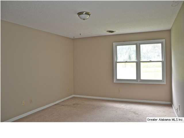 8978 Old Tennessee Pike Road Pinson, AL 35126 - Photo 12 of 32