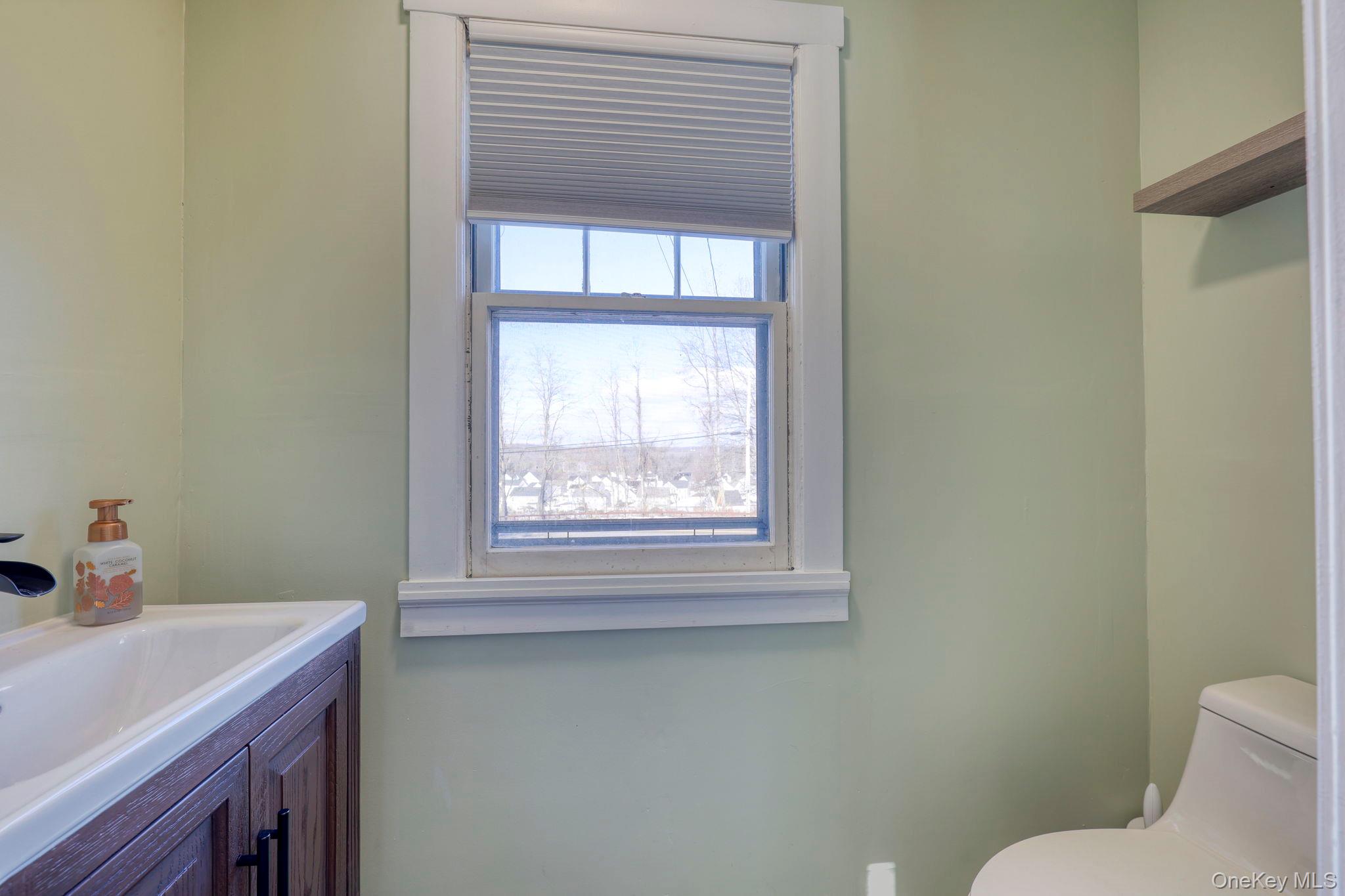210 Overlook Road Poughkeepsie, NY 12603 - Photo 20 of 43 Bathroom featuring vanity and toilet