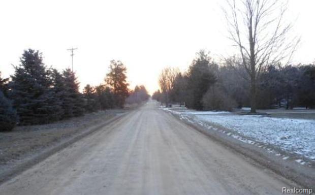 14726 Howe Road Portland, MI 48875 - Photo 6 of 6 7140360954 Street view.JPG