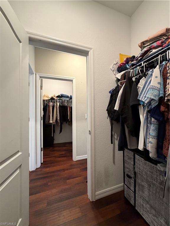4284 Raffia Palm Circle Naples, FL 34119 - Photo 31 of 50 Walk in closet with dark wood-style floors