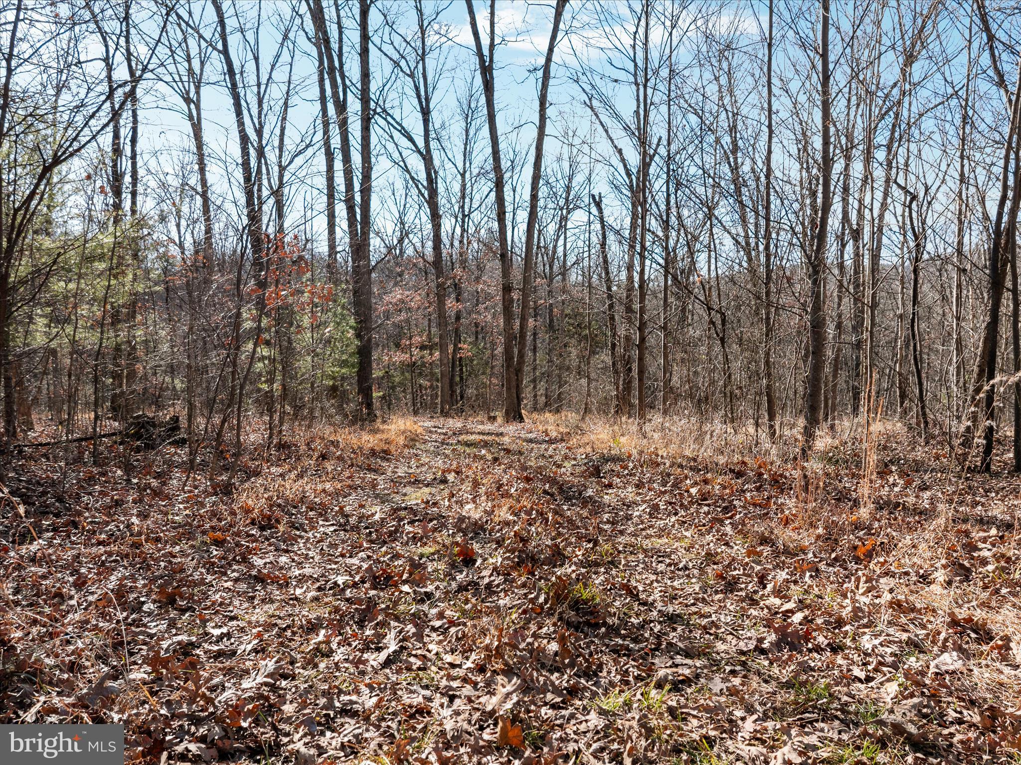 Catron Ridge Road Bentonville, VA 22610 - Photo 3 of 18 DJI_20260112134849_0187_D_Catron Ridge Rd - Absolu