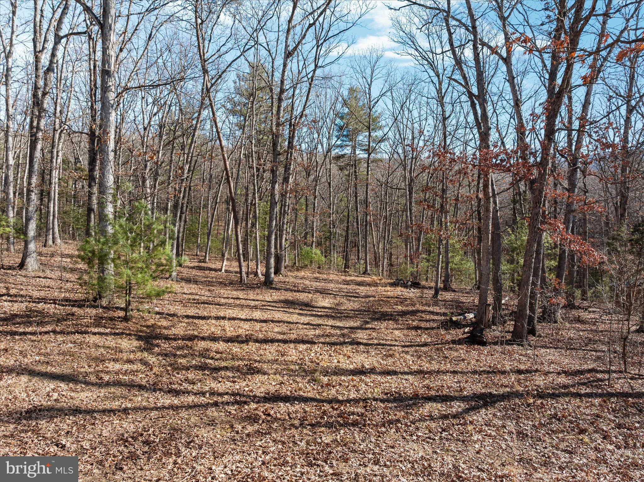 Catron Ridge Road Bentonville, VA 22610 - Photo 5 of 18 DJI_20260112135208_0193_D_Catron Ridge Rd - Absolu
