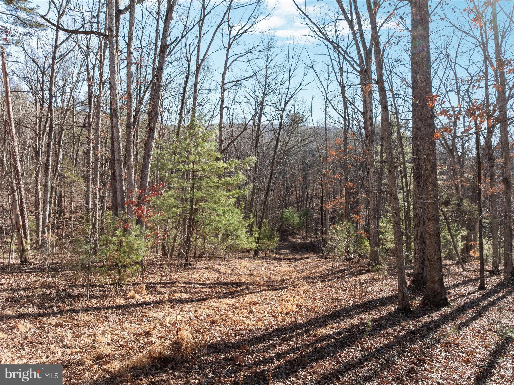 Catron Ridge Road Bentonville, VA 22610 - Photo 6 of 18 DJI_20260112135245_0194_D_Catron Ridge Rd - Absolu
