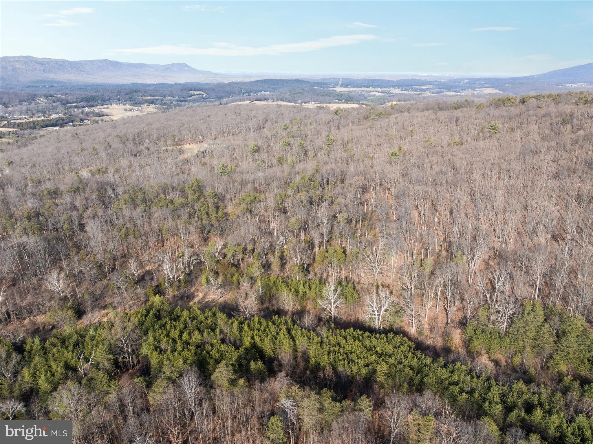 Catron Ridge Road Bentonville, VA 22610 - Photo 7 of 18 DJI_20260112140800_0201_D_Catron Ridge Rd - Absolu