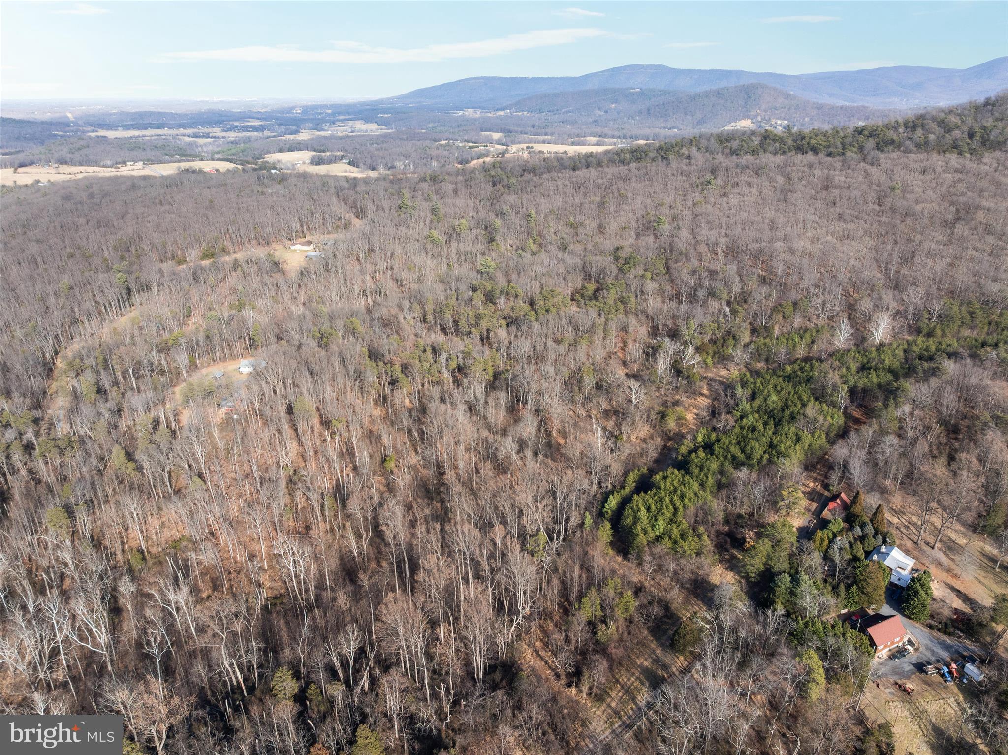 Catron Ridge Road Bentonville, VA 22610 - Photo 8 of 18 DJI_20260112140903_0203_D_Catron Ridge Rd - Absolu
