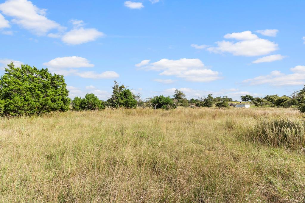 192 Chuckwagon Trail Harper, TX 78631 - Photo 22 of 23 a view of lake and mountain