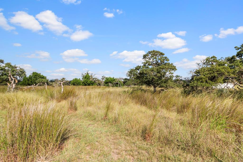 192 Chuckwagon Trail Harper, TX 78631 - Photo 23 of 23 a view of lake