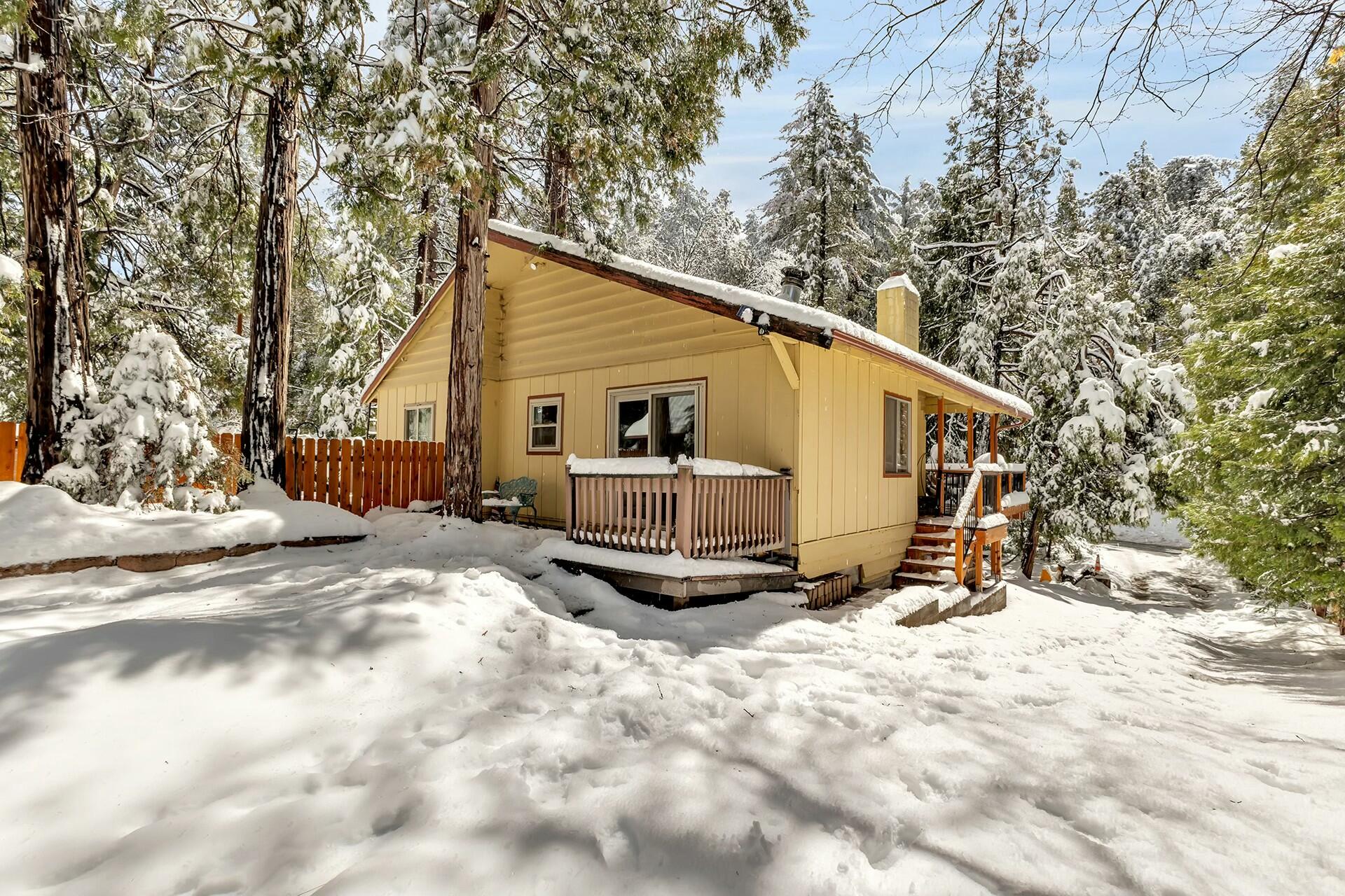 52660 Sylvan Way Idyllwild, CA 92549 - Photo 2 of 25 a backyard of a house with a large tree and covered with tall trees