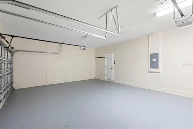 a view of backyard with large trees and a plants