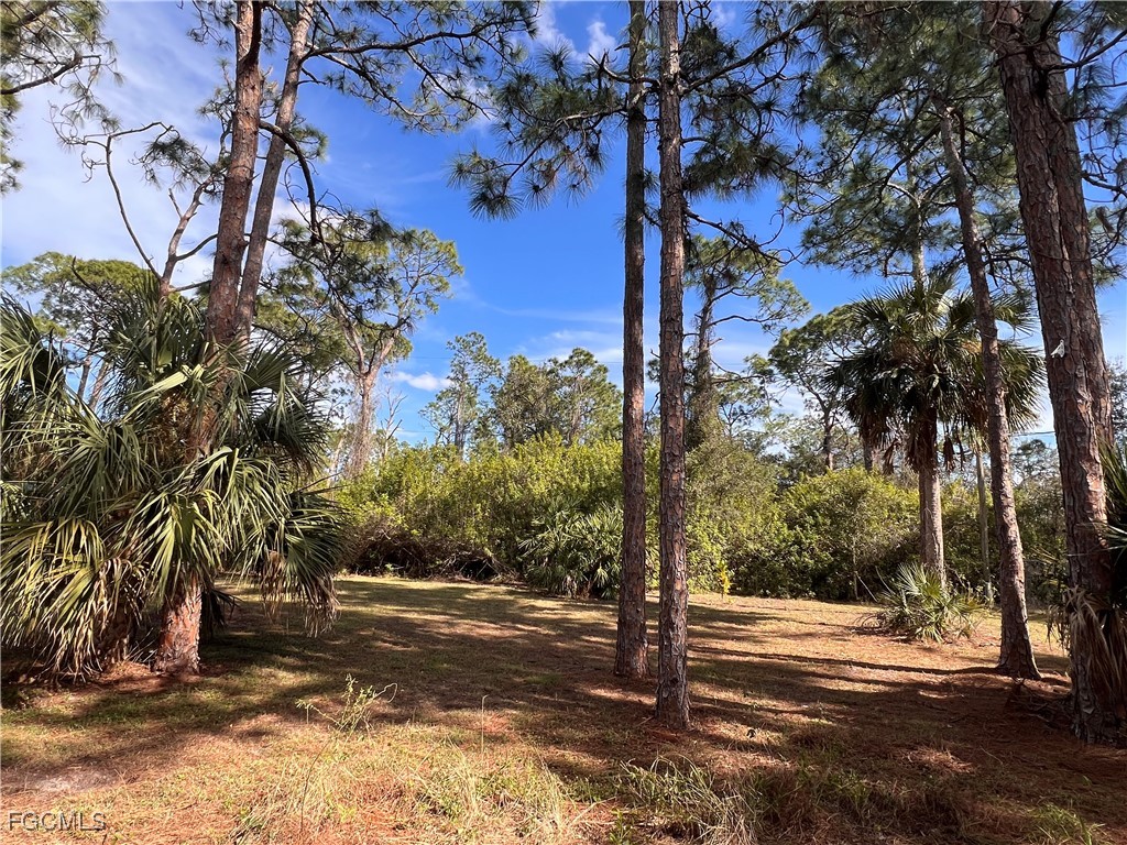 2002 Truman Avenue Alva, FL 33920 - Photo 29 of 30 a view of a yard with plants and trees