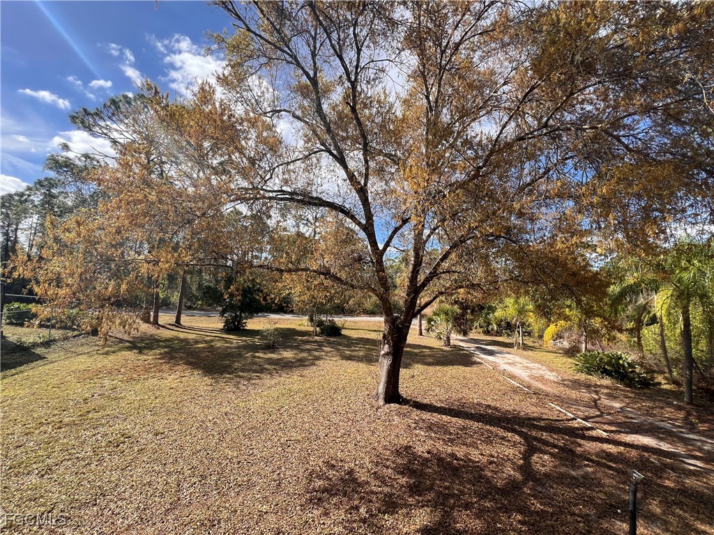 2002 Truman Avenue Alva, FL 33920 - Photo 7 of 30 a view of dirt yard and a large tree