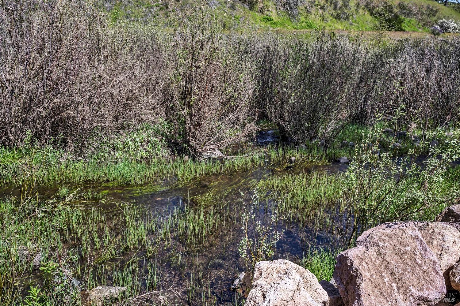 2230 Stagecoach Canyon Road Pope Valley, CA 94567 - Photo 14 of 29 a backyard of a house with a yard and outdoor seating