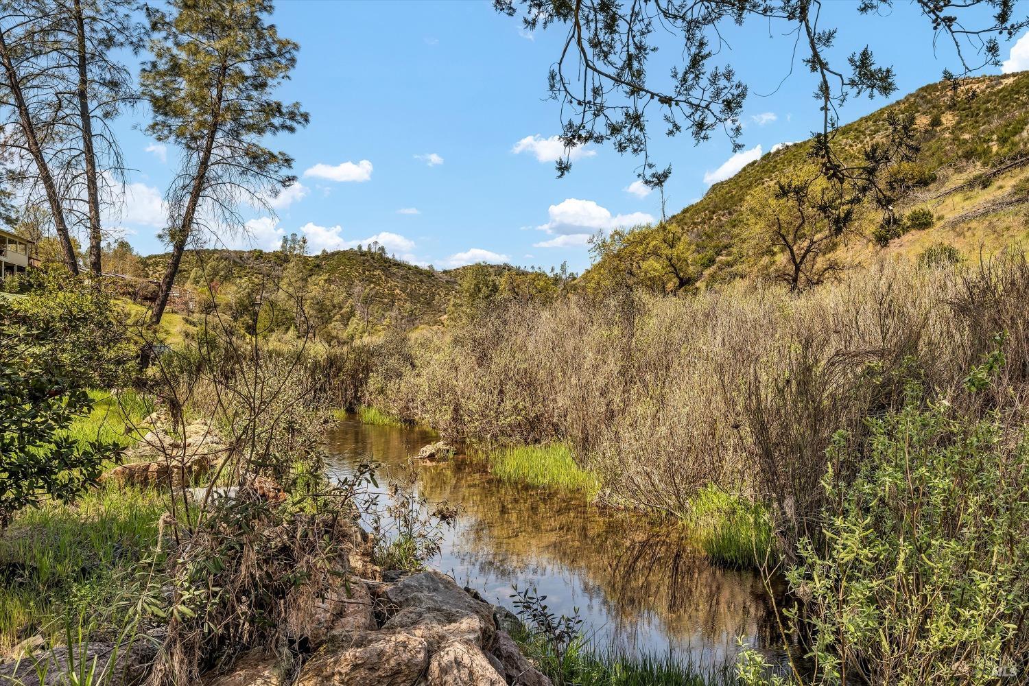 2230 Stagecoach Canyon Road Pope Valley, CA 94567 - Photo 15 of 29 a view of a trees