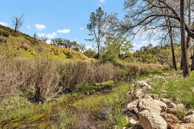 a view of a yard of a building