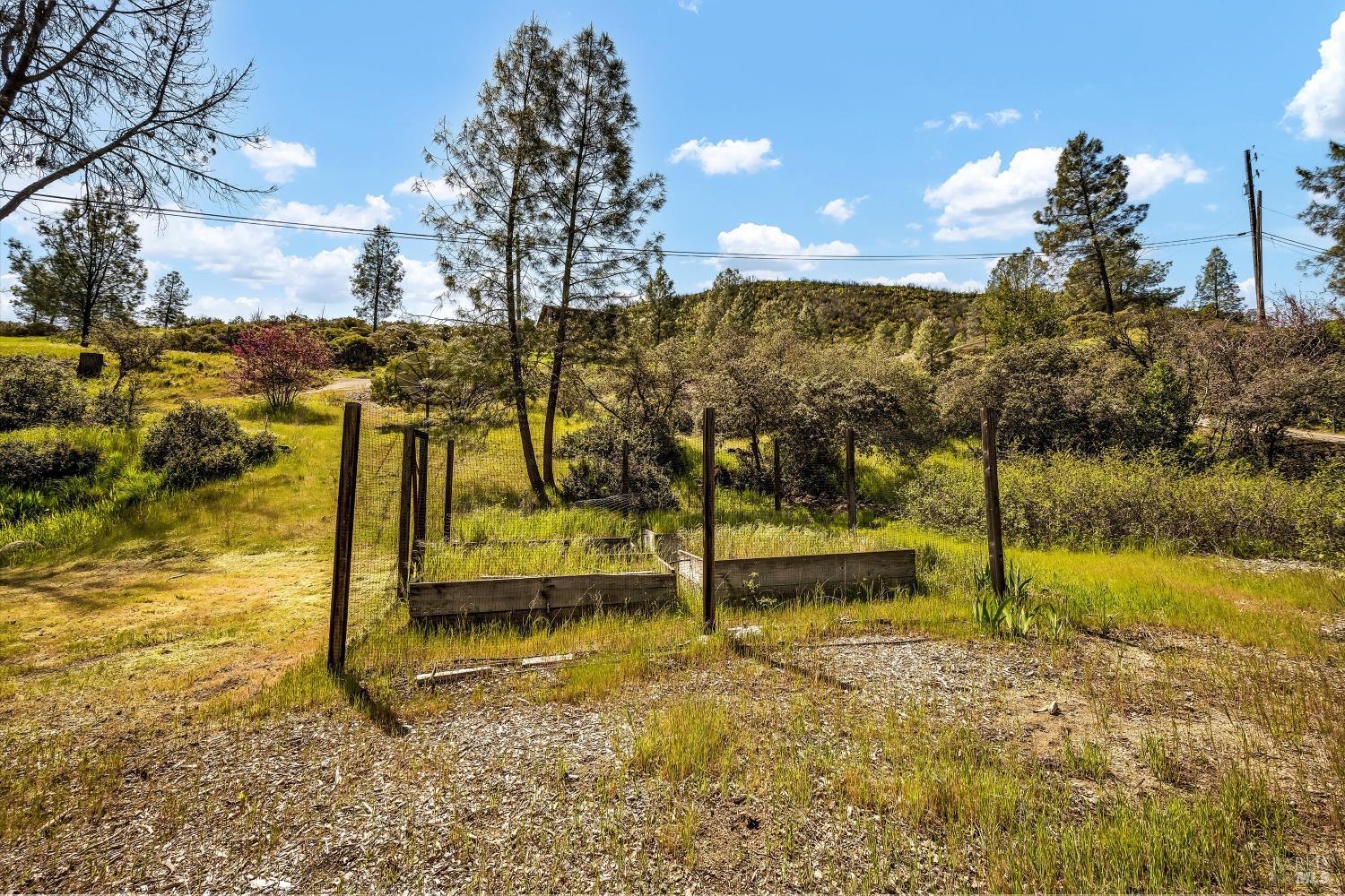 2230 Stagecoach Canyon Road Pope Valley, CA 94567 - Photo 17 of 29 a view of a house with a yard