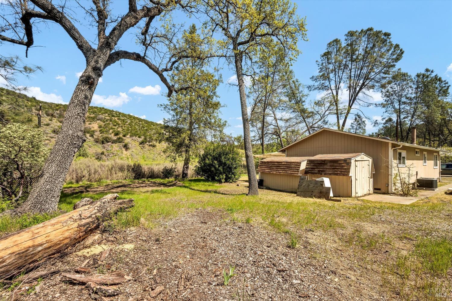 2230 Stagecoach Canyon Road Pope Valley, CA 94567 - Photo 19 of 29 a view of a yard with large trees