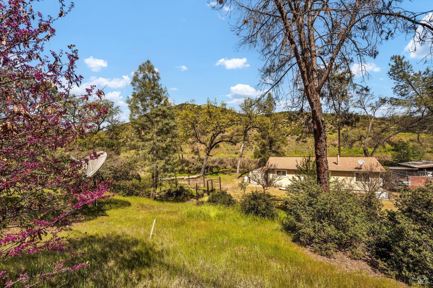 2230 Stagecoach Canyon Road Pope Valley, CA 94567 - Photo 23 of 29 a view of yard with tree s