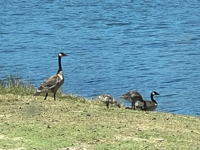 a backyard of a house