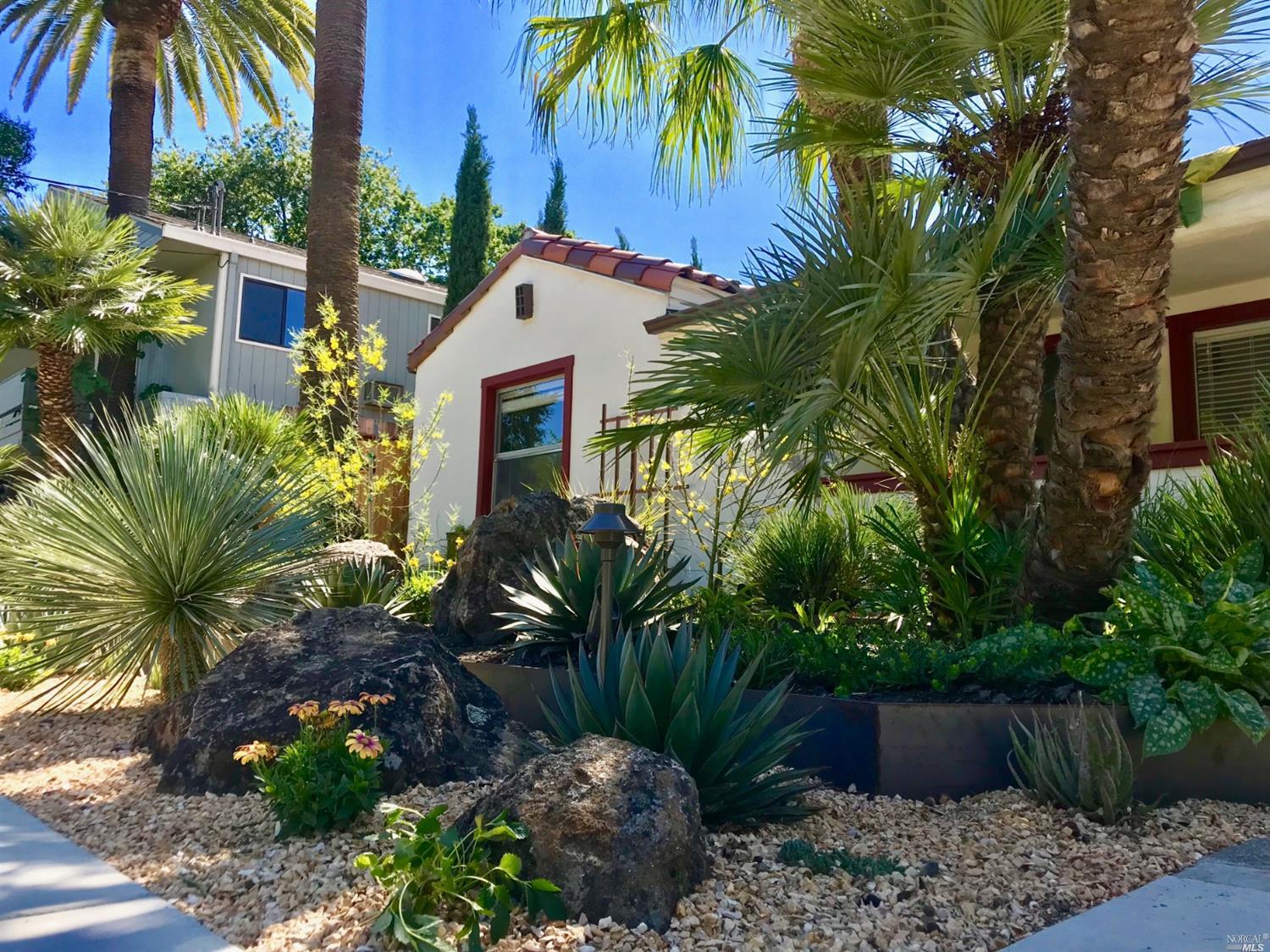 a view of a garden with a potted plants and palm trees