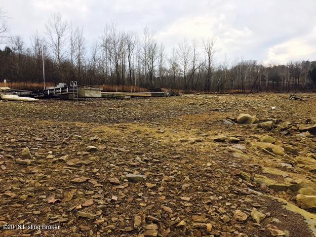 41 Robbin Lane Cub Run, KY 42729 - Photo 8 of 12 8 no stumps