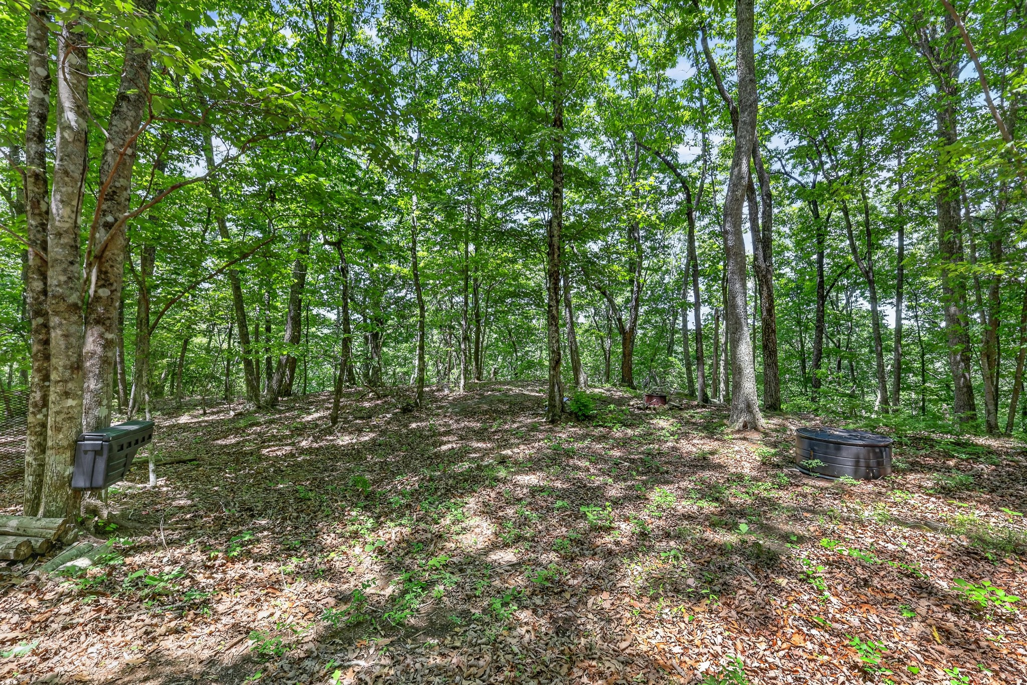 1215 Stage Coach Road Sewanee, TN 37375 - Photo 16 of 30 a view of outdoor space with trees