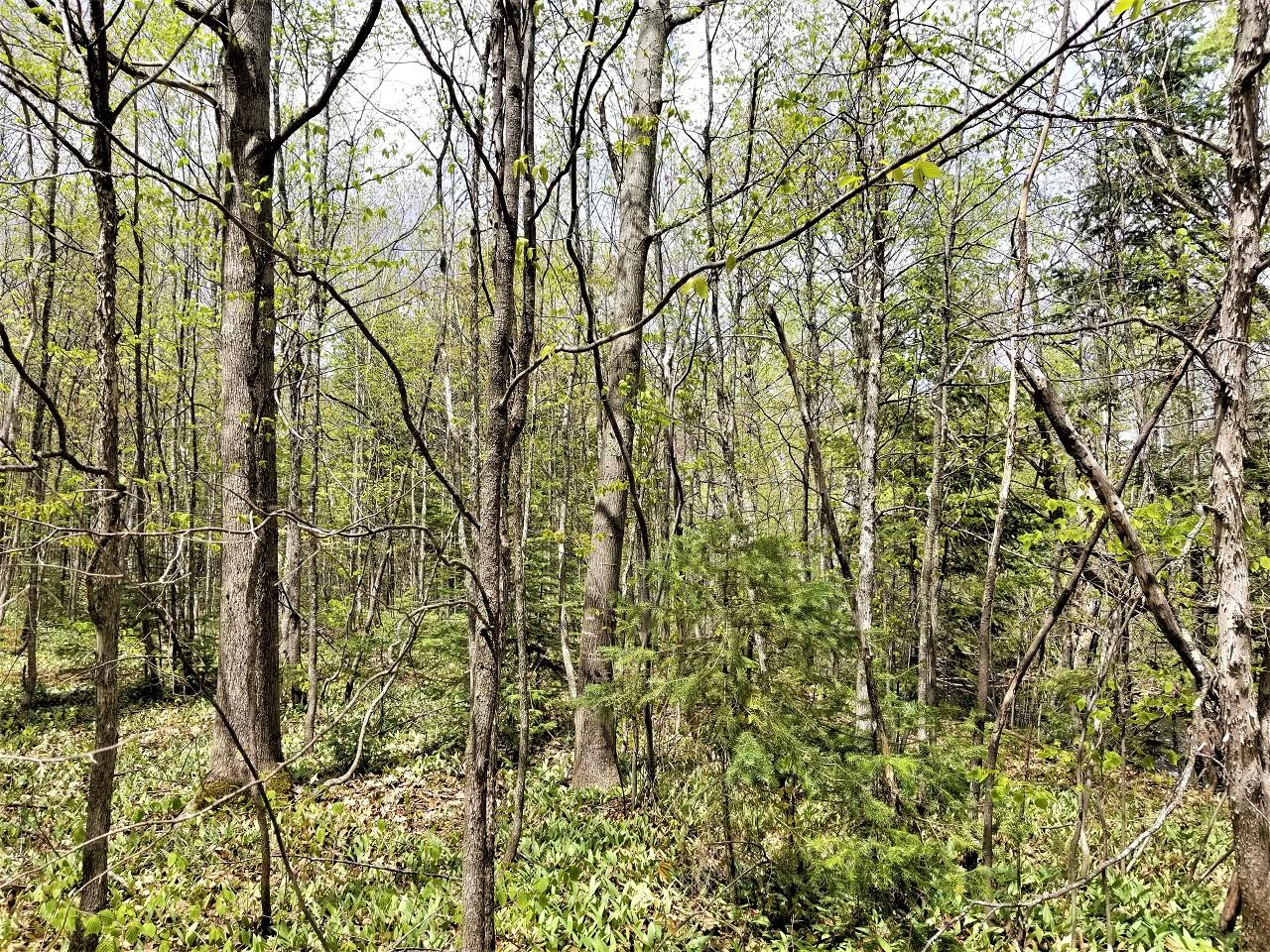 Lot 5 North Stateline Road Hurley, WI 54534 - Photo 20 of 36 Gallery Image 20