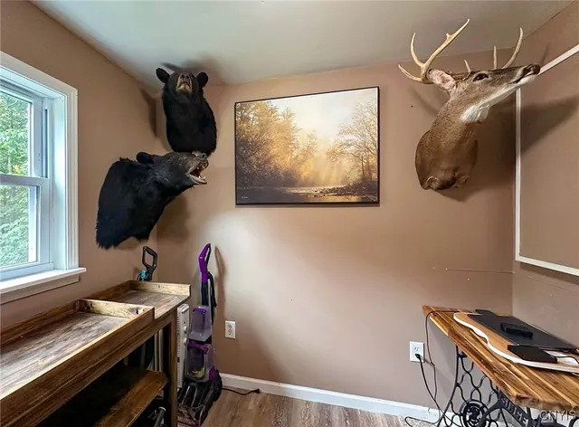 $235,000 | 11078 Countryman Road, Remsen, NY 13438